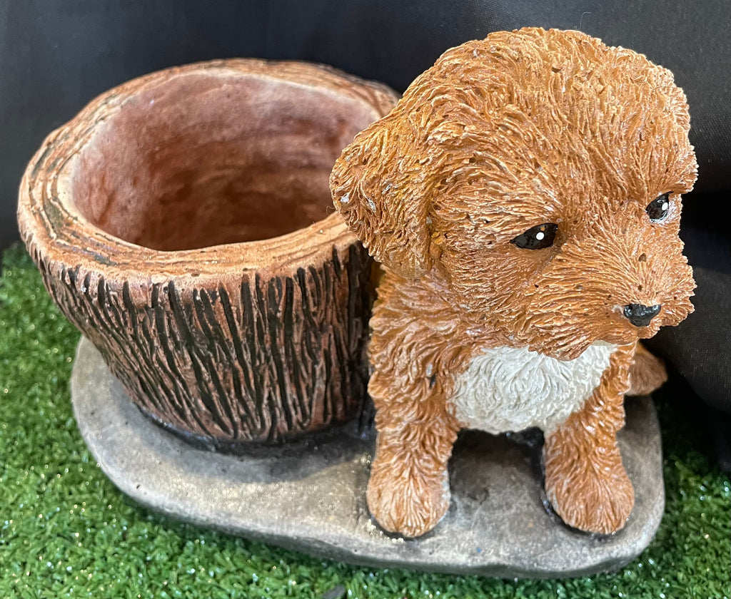 CAVOODLE POT