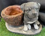 STAFFY POT